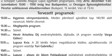 Meghívó (előzetes)