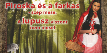 Egy százalék